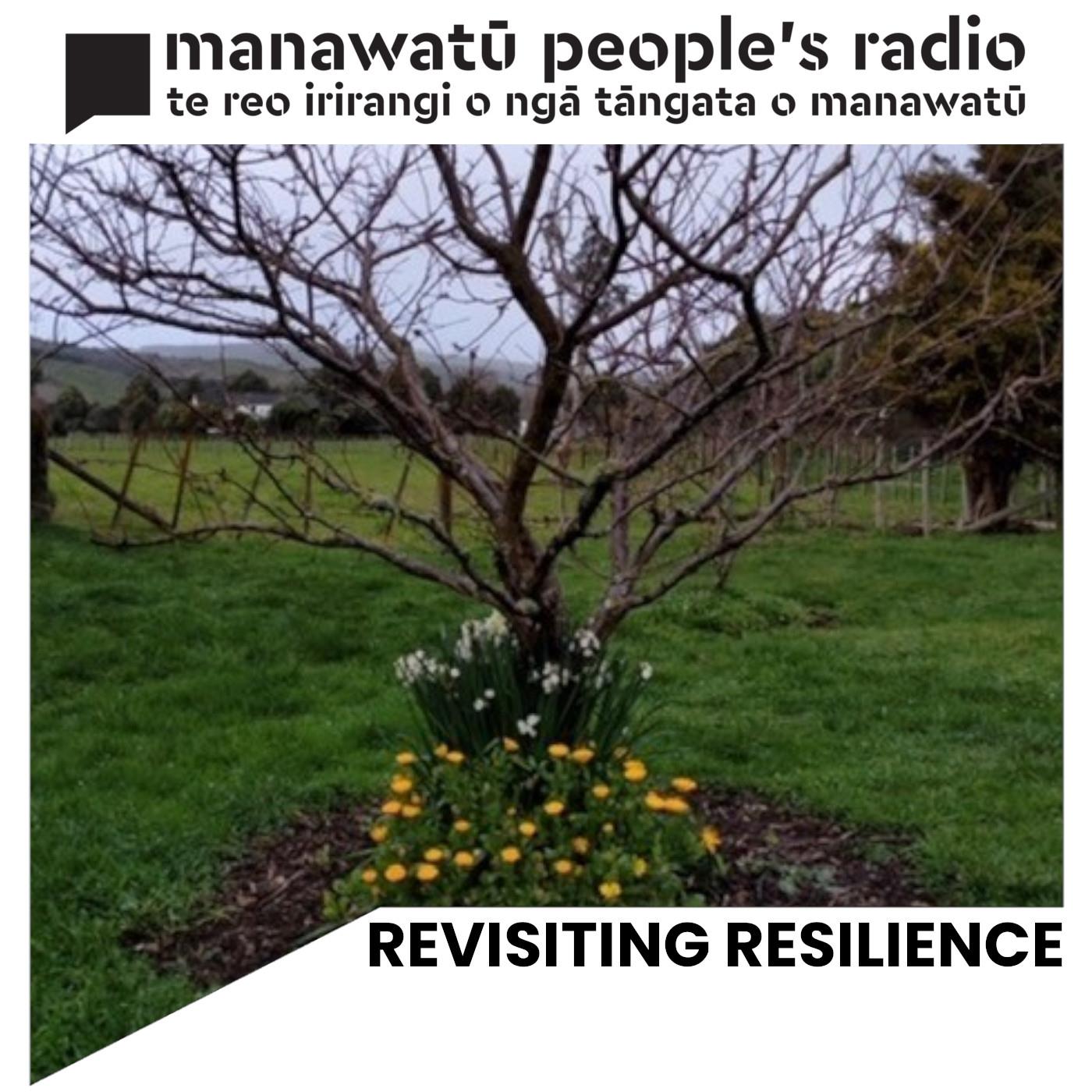Revisiting Resilience