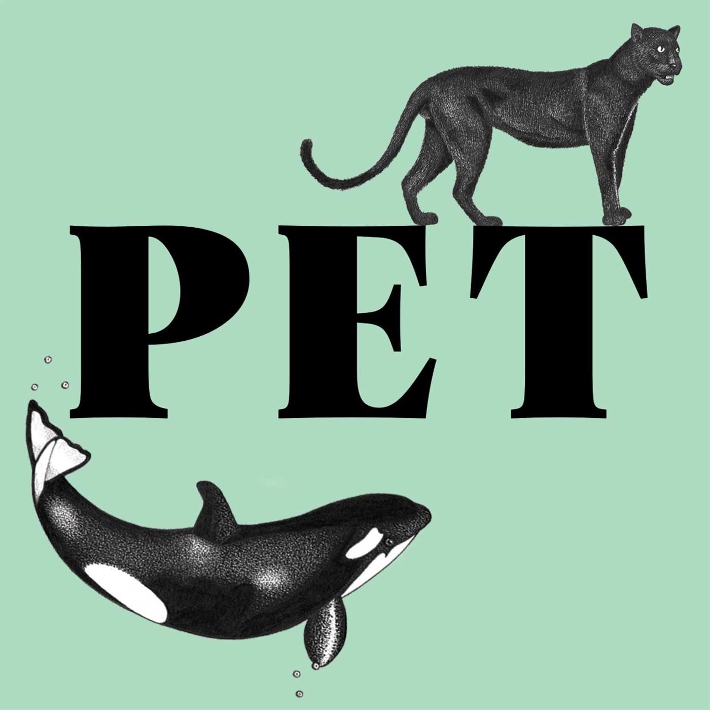 Pet