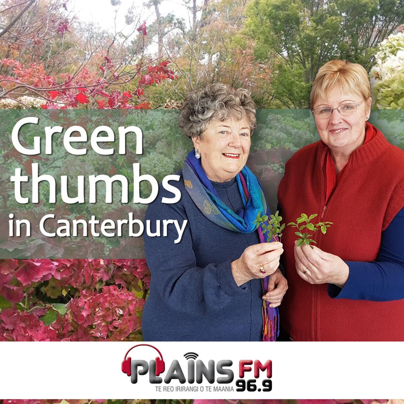 Greenthumbs in Canterbury