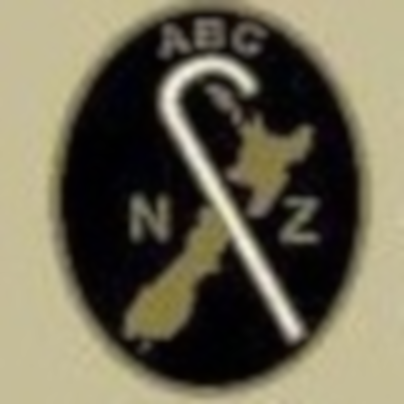 Blind Spot - The Association of Blind Citizens-18-12-2018